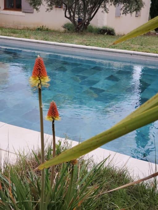 Reve En Luberon Villa Lauris Bagian luar foto